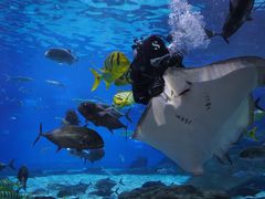 -福州罗源湾海洋世界旅游区