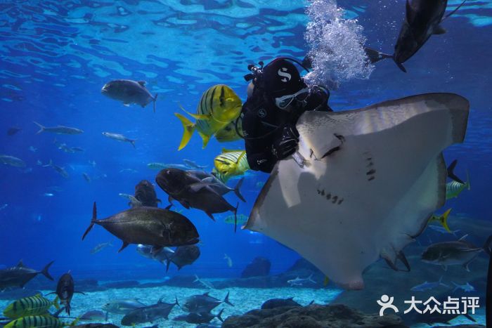 福州罗源湾海洋世界旅游区图片