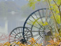 -重庆彩云湖湿地公园