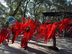 -上海佘山国家森林公园西佘山园