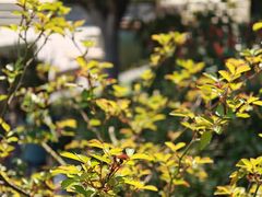 -Beans Solo豆号咖啡(百家湖花园店)