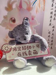 -艾薇朵朵全套房月子中心(江宁店)