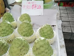 -大湾区中央湿地公园-十九涌