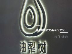 -油梨树 AVOCADO TREE(亮马桥店)