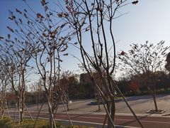 -廊坊市自然公园