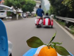 -村上春树