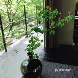静心的好地方