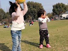 -昆山城市生态森林公园