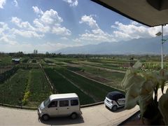 -翠田Green Field Kitchen