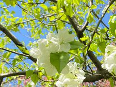 -元大都城垣遗址公园