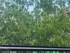 -生如夏花泰式火锅(西村黑金店)