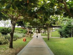 -三亚亚龙湾天域度假酒店