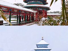 -天坛公园