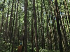 -芦芽山旅游度假区