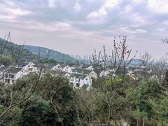 -树山生态村
