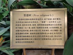 -国家植物园南园