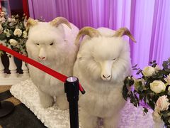 -新兴家喻酒家·羊城名宴(昌岗店)