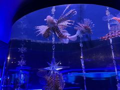-大连圣亚海洋世界