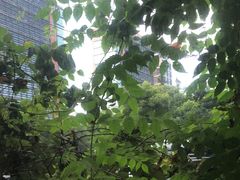 -花迹(富春江东街店)