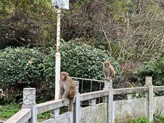 -黔灵山公园