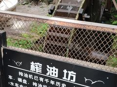 -青青世界