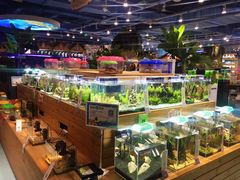-龟与熊猫宠物公园(南坪店)