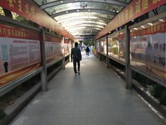 -上海市第十人民医院(总院)