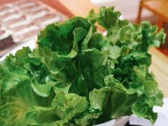-京炭铜锅涮肉·羊蝎子·羊肉炉(保利·时光里店)