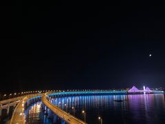 -星海湾跨海大桥