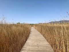 -野鸭湖国家湿地公园