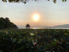 -西湖游船