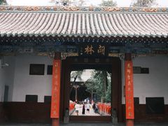 -关林