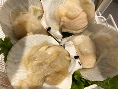 -肥佬大椰子鸡(三里屯3·3大厦店)