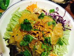 大院拉皮-东北大院·东北菜(三台子店)