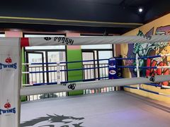 -臻元搏击格斗泰拳拳馆(港隆店)