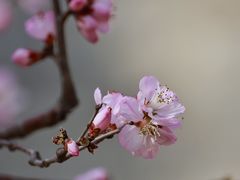 -北京明城墙遗址公园