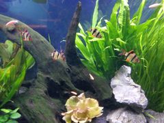 -沙沙哗啦海洋馆(华宇百花谷店)