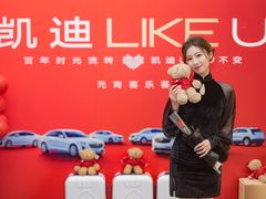 -河南威佳金凯汽车销售服务有限公司