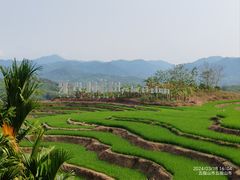 -牙胡梯田景区