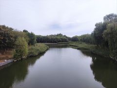 -大兴滨河森林公园