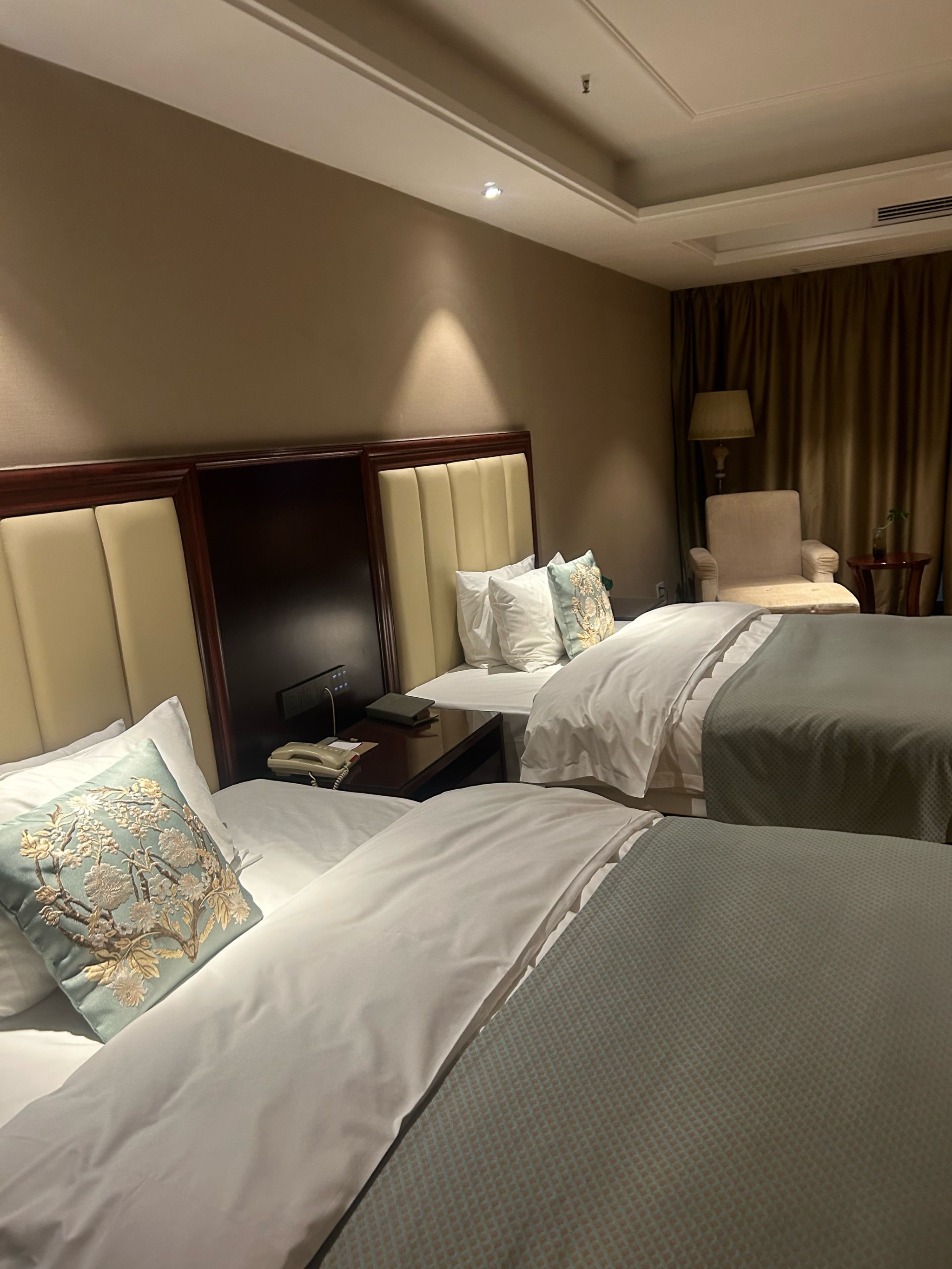 月季恒久|无需千朵,一枝足以定义优雅
🌺常州