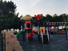 -飞来湖湿地公园