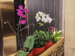 -玉林烤鸭店(垡头店)