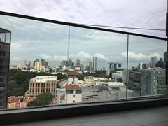 -老伴豆花(麦士威熟食中心店)