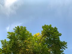 -火炉山森林公园