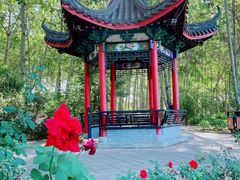 -仁和公园(顺义区)