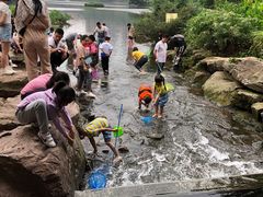-重庆彩云湖湿地公园