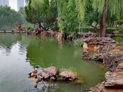 -西苑公园