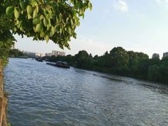 -运河游船(武林门码头)