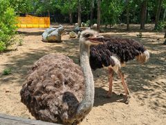 -大连森林动物园